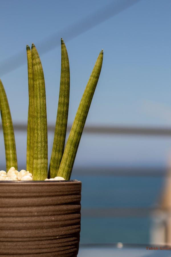 Tabak Home Sea Side Apartment Hanya Dış mekan fotoğraf